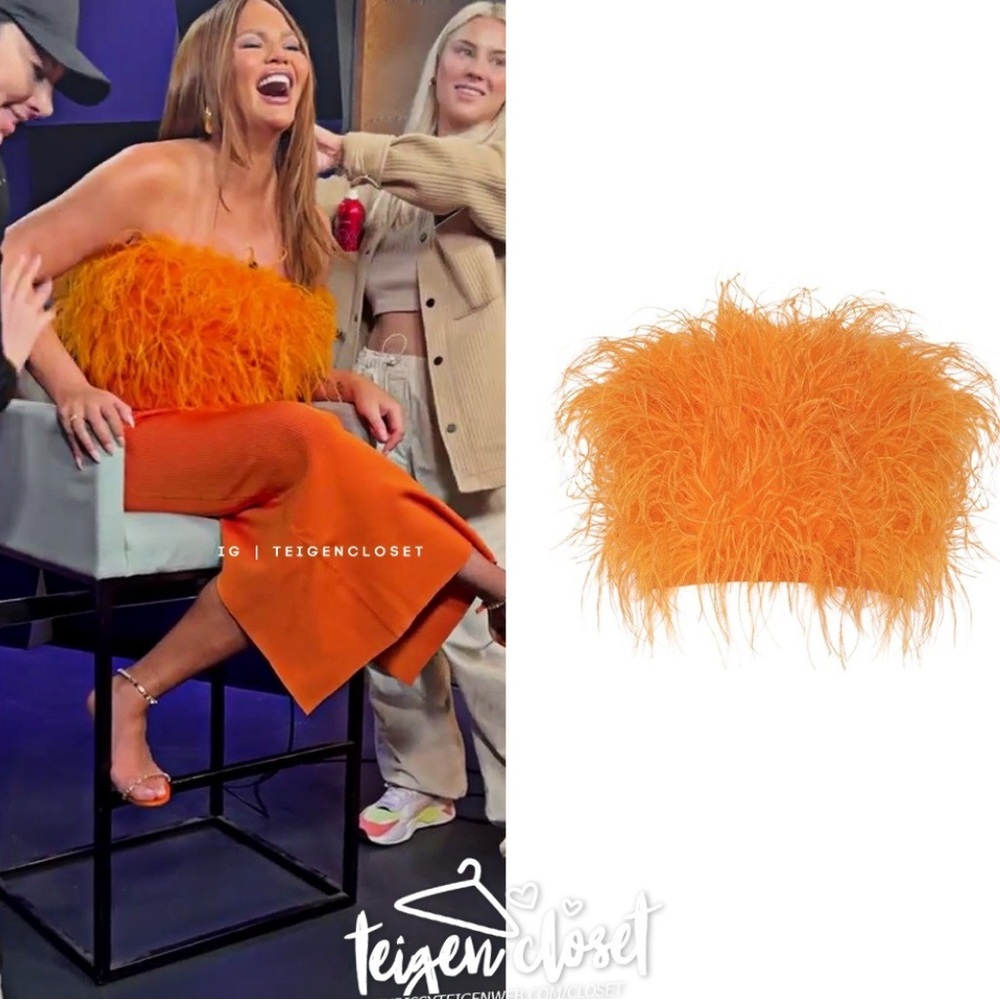Lapointe Feather Tube Top
TANGERINE